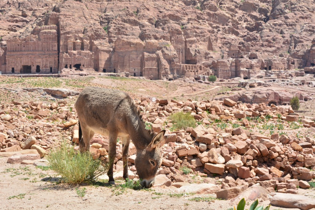 PETRA – JORDAN